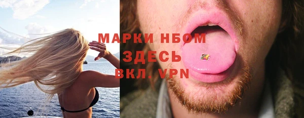 PSILOCYBIN Белокуриха