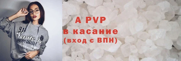 PSILOCYBIN Белокуриха