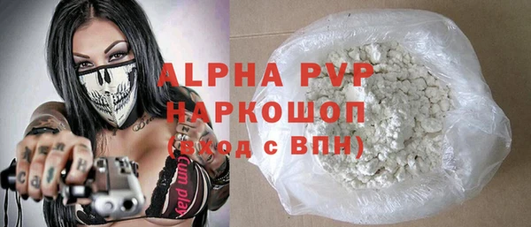 PSILOCYBIN Белокуриха