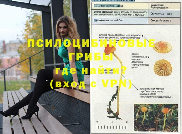 spice Белоозёрский