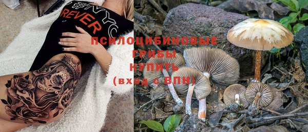 PSILOCYBIN Белокуриха