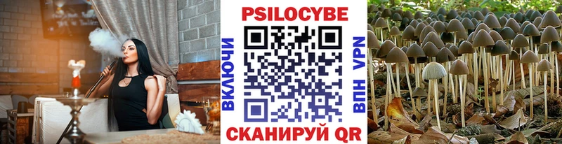 маркетплейс Telegram  купить наркотик  Гудермес  Галлюциногенные грибы Cubensis 